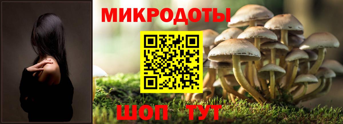 Галлюциногенные грибы GOLDEN TEACHER Пугачёв