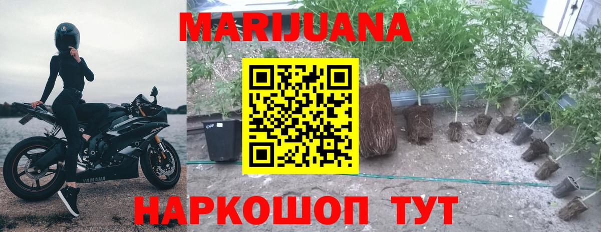 Марихуана VHQ Пугачёв